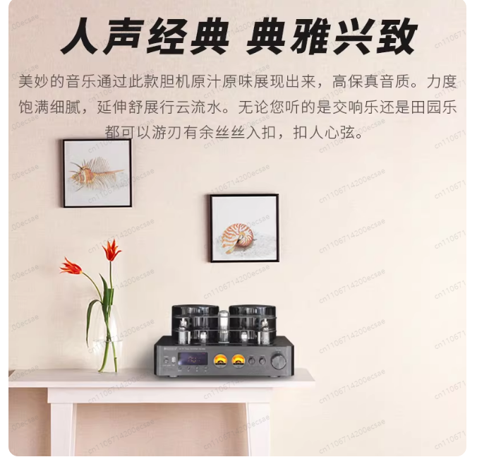 220V 400W * 2 High Fidelity Wi - Audio Music In Youtube 评论和价格